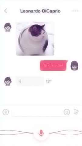 ddos服务器攻击手段软件程序维护界面